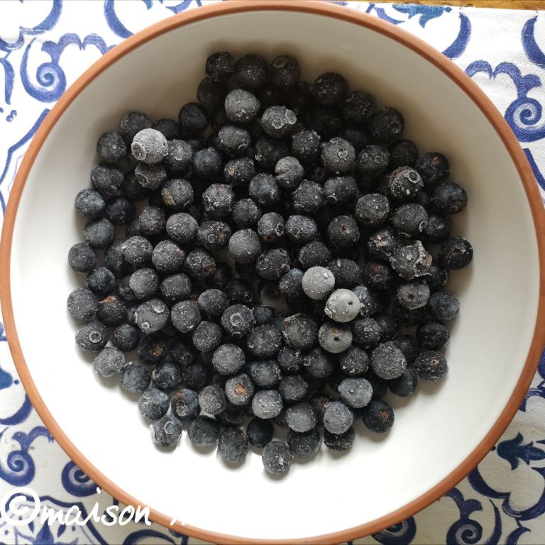 Sloe-Gin (Schlehen-Gin) – Maison Rieck Manufaktur Sloe-Gin (Schlehen-Gin) – Maison Rieck Manufaktur