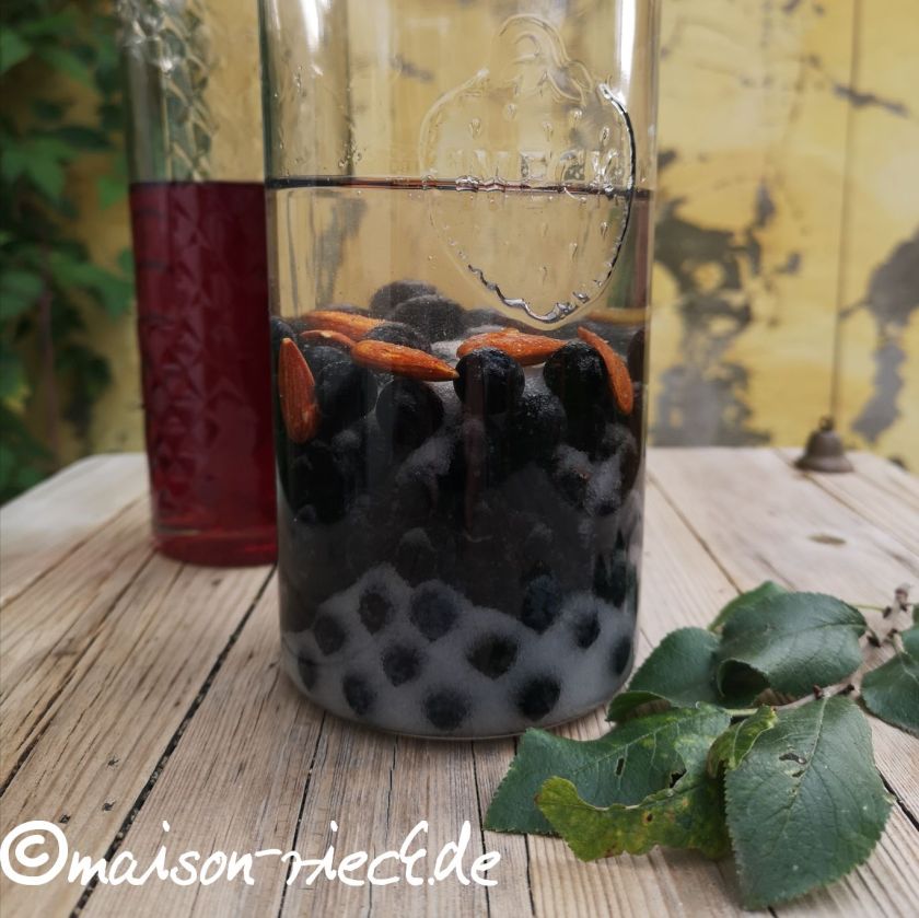 Sloe-Gin (Schlehen-Gin) – Maison Rieck Manufaktur Sloe-Gin (Schlehen-Gin) – Maison Rieck Manufaktur